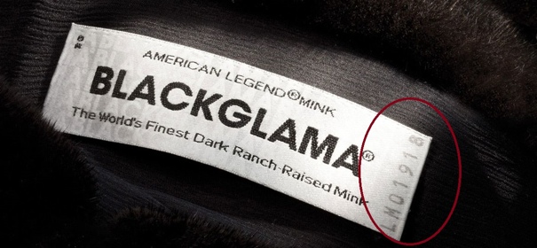   Blackglama ()   