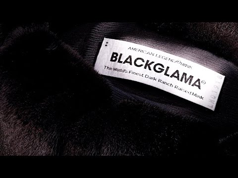    Blackglama  