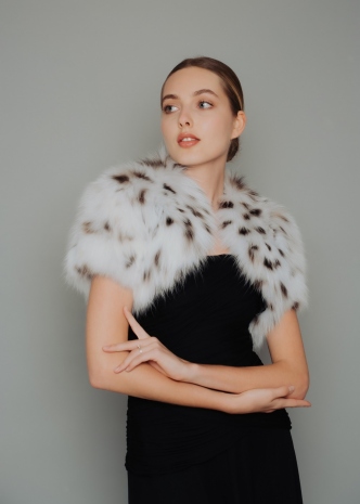 ������ 106